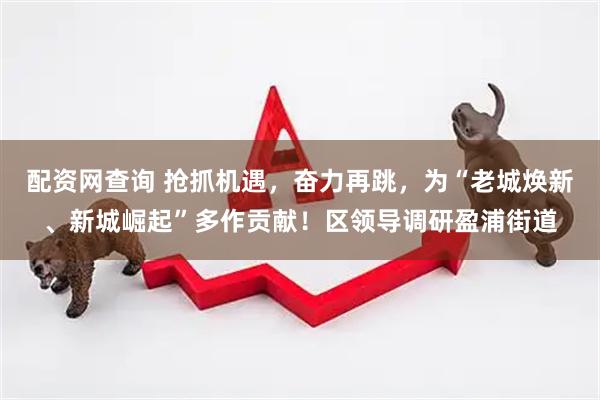 配资网查询 抢抓机遇，奋力再跳，为“老城焕新、新城崛起”多作贡献！区领导调研盈浦街道